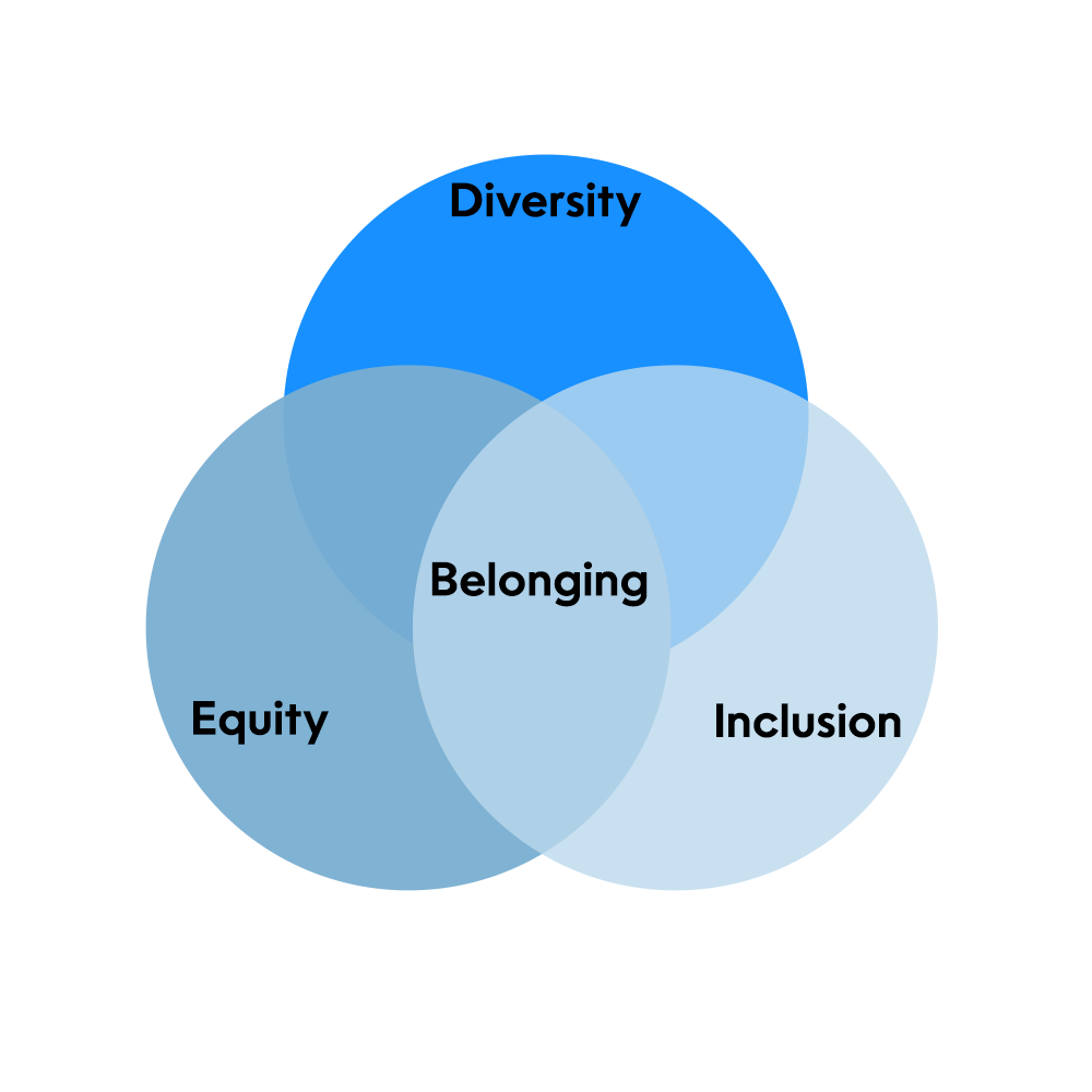 Diversity Equity Inclusion Belonging Graph 